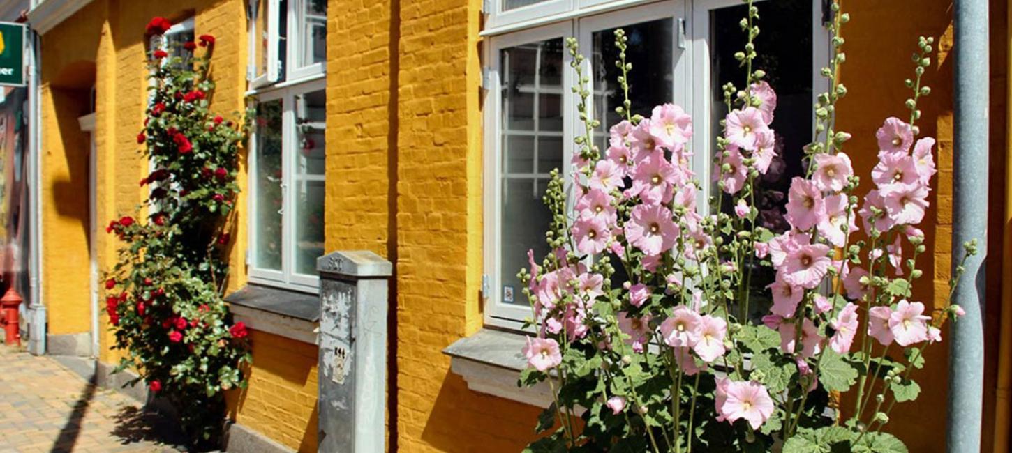 Bed & Breakfast I Odense | Visitodense