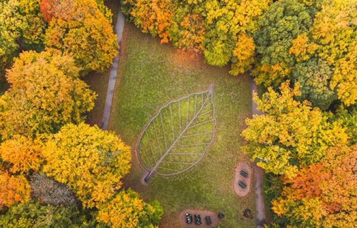 drone blad efteraar højformat